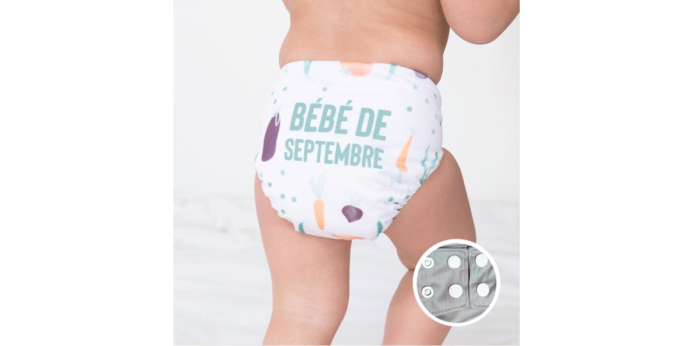 La Petite Ourse- Couche du mois- Septembre-Snap